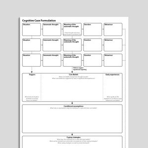 Cognitive Case Formulation