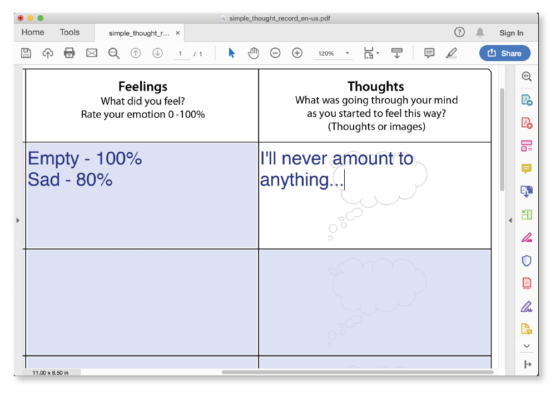 Fillable (PDF) Format