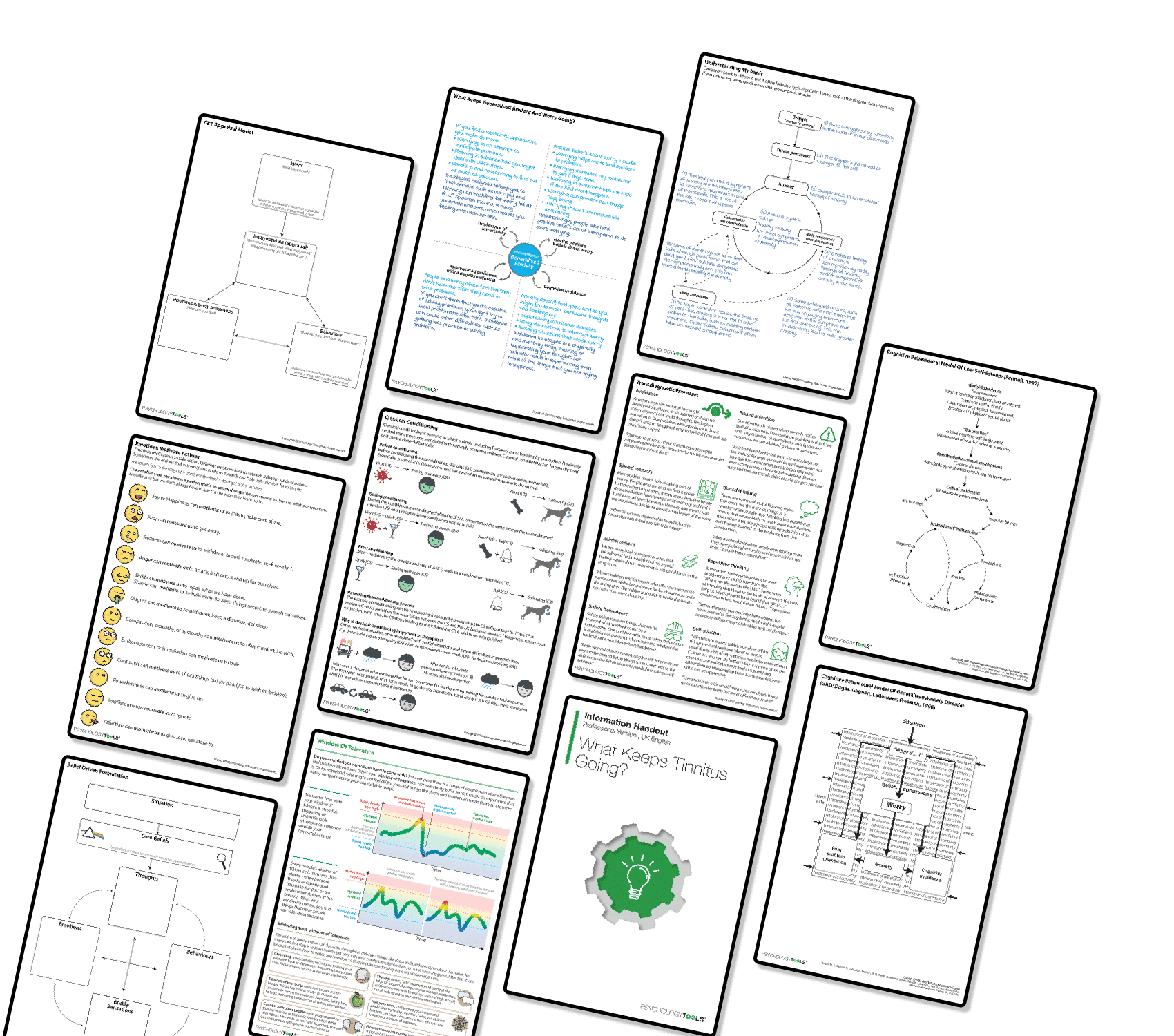 Case Formulation and Disorder-Specific Models